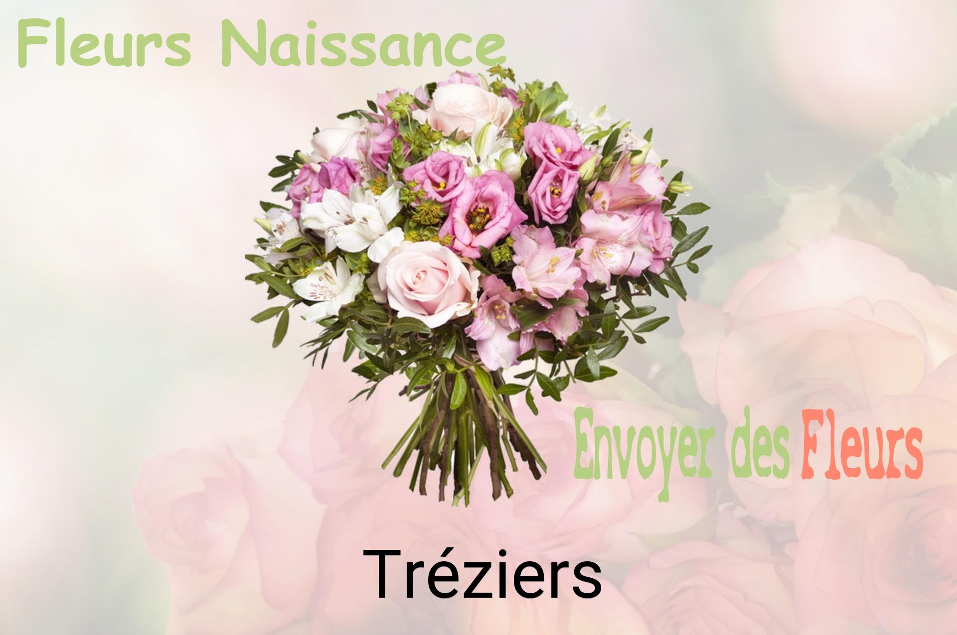 Bouquet de fleurs de naissance livré à Tréziers