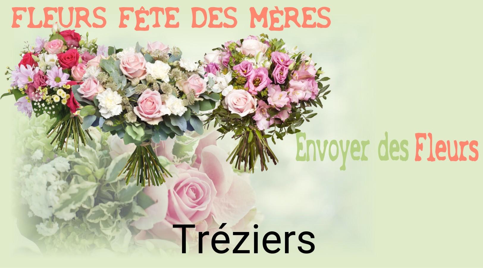 Bouquet de Fête des Mères livré à Tréziers